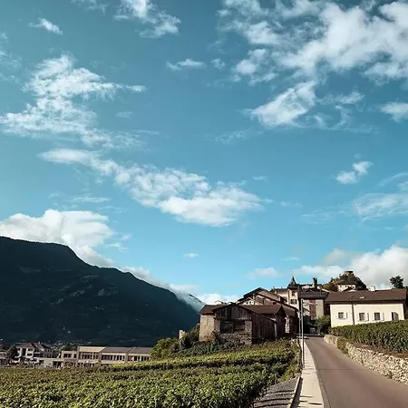 Des Vignes, Saillon