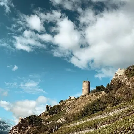 Appartement Des Vignes, Saillon