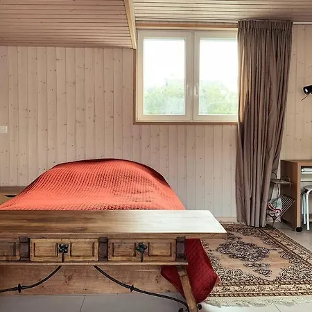 Appartement Des Vignes, Saillon