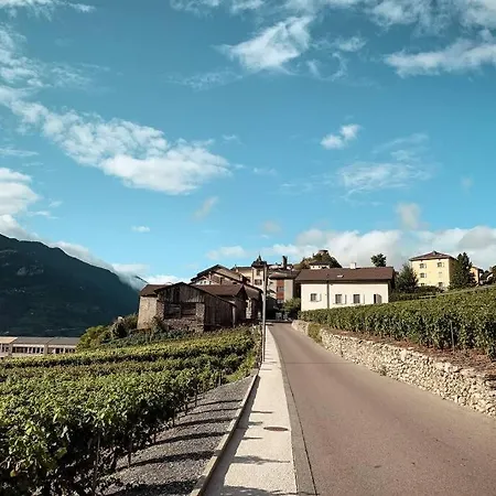 Des Vignes, *