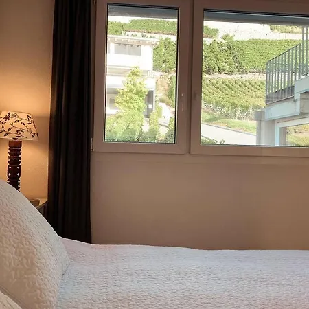 Apartman Des Vignes,